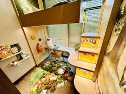 Terra Hill (D5), Apartment #400636841